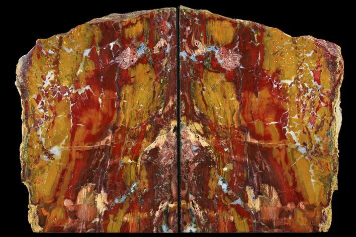 Red/Yellow Jasper Replaced Petrified Wood Bookends - Oregon #111096